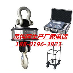 耐高温吊钩秤与无线传输电子吊钩秤价格解析及优质生产厂家推荐